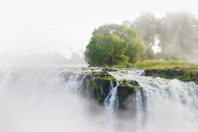 3-Day Victoria Falls Safari with Dinner Cruise - Day 2 afternoon: Nakavango’s basalt plains, Kalahari sands, and teak forest