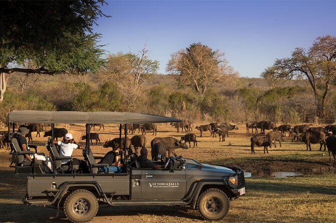 3-Day Victoria Falls Safari with Dinner Cruise - What the $850 price really covers