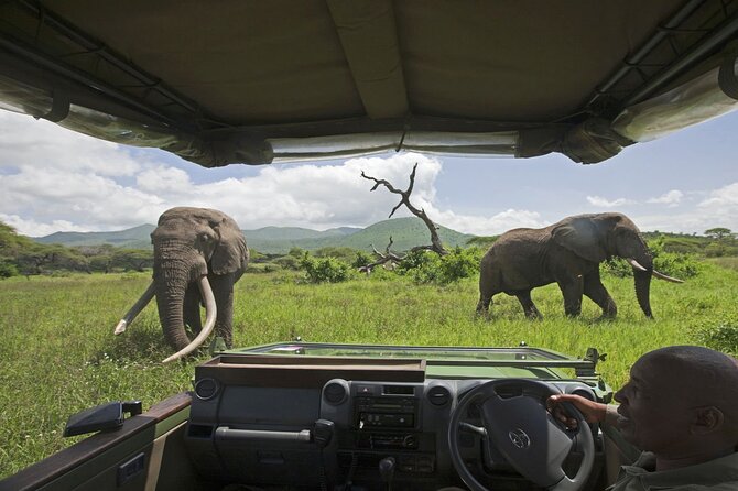 3-Day Victoria Falls Safari with Dinner Cruise - The people handling the trip