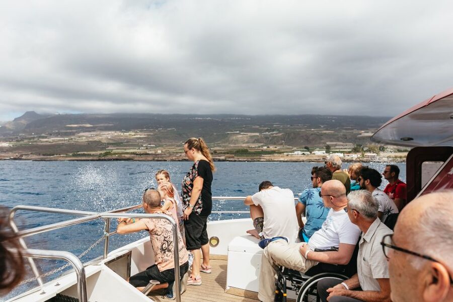 Adeje: Whale and Dolphin Watching Cruise with Lunch and Swim - Swimming at Diego Hernández Bay or Masca Bay