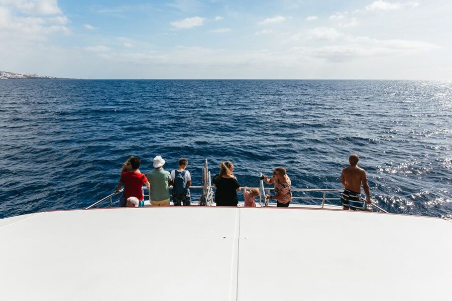 Adeje: Whale and Dolphin Watching Cruise with Lunch and Swim - Lunch, Drinks, and the Practical Value