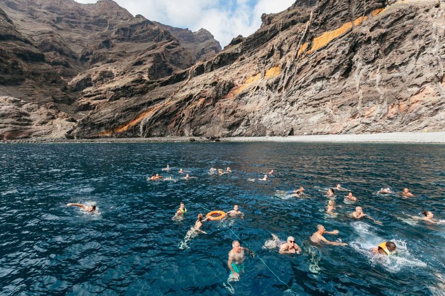 Adeje: Whale and Dolphin Watching Cruise with Lunch and Swim - Seasickness, Seating, and What to Bring