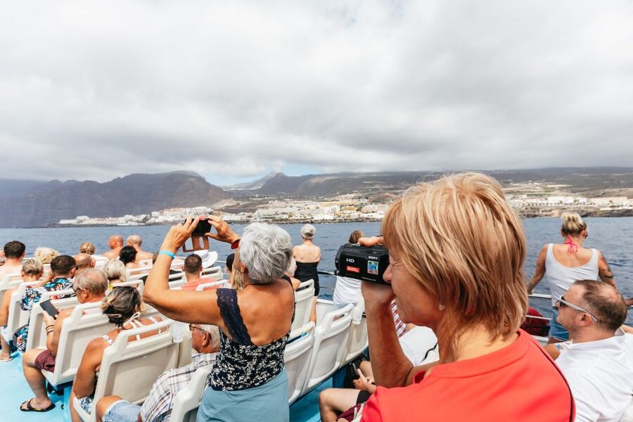 Adeje: Whale and Dolphin Watching Cruise with Lunch and Swim - Who Will Enjoy This Cruise Most