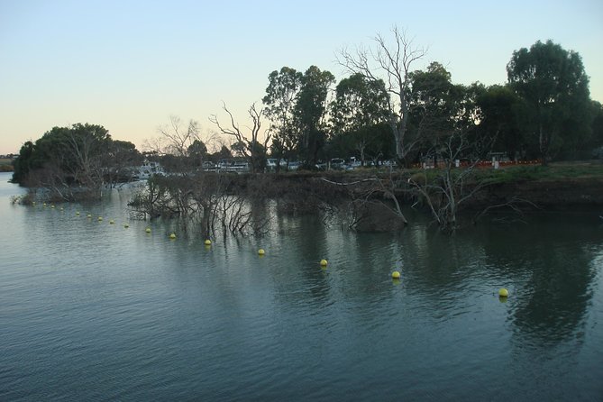 Adelaide Hills Tour with River Murray Lunch Cruise - Price, timing, and the real value
