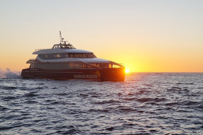 Afternoon Gordon River Dinner Cruise - What makes this Strahan cruise worth considering