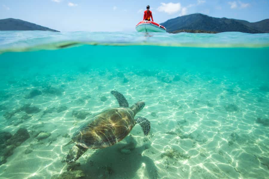 Airlie Beach: Whitehaven Full-Day Eco-Cruise with Buffet - Key things to know before you book