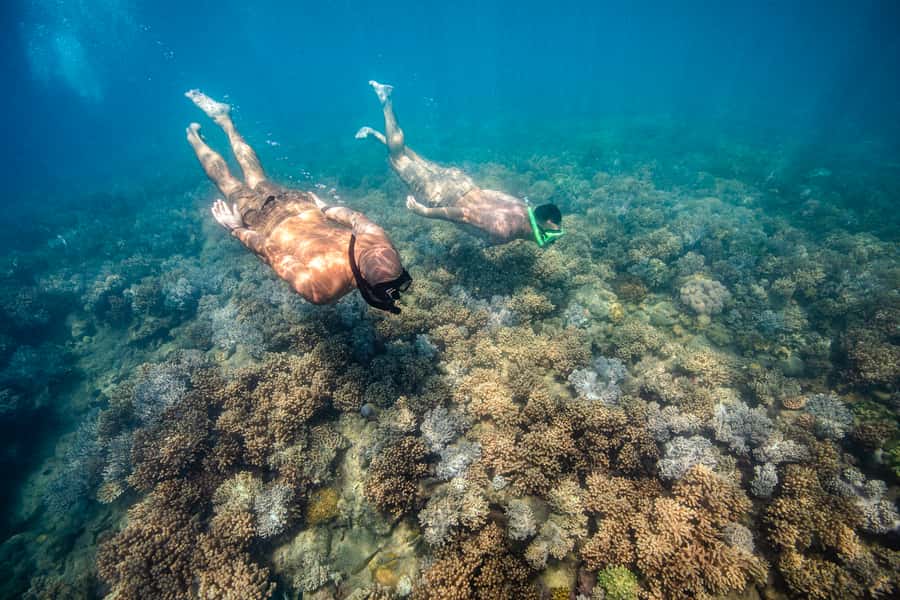 Airlie Beach: Whitehaven Full-Day Eco-Cruise with Buffet - A buffet lunch that does more than fill a gap
