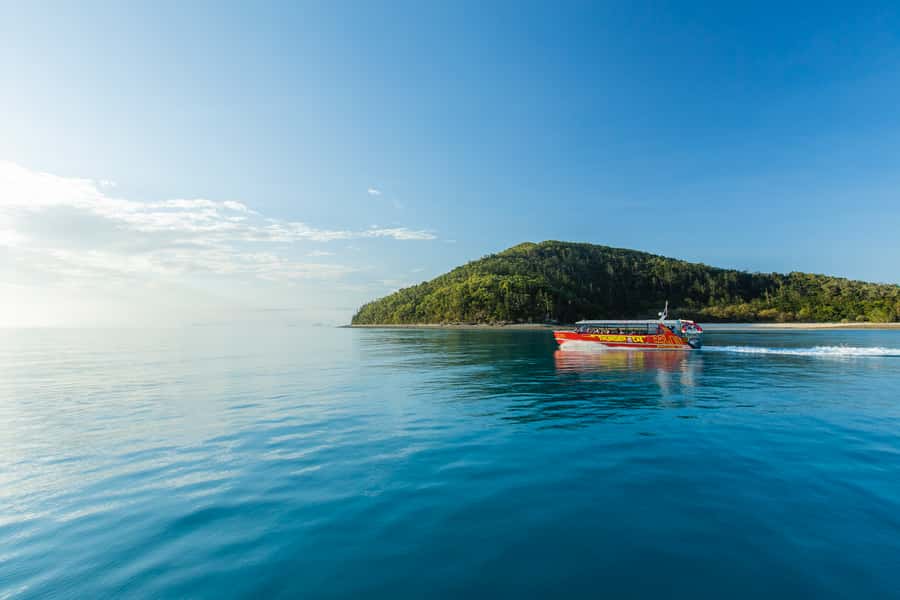 Airlie Beach: Whitehaven Full-Day Eco-Cruise with Buffet - Who should book this cruise?