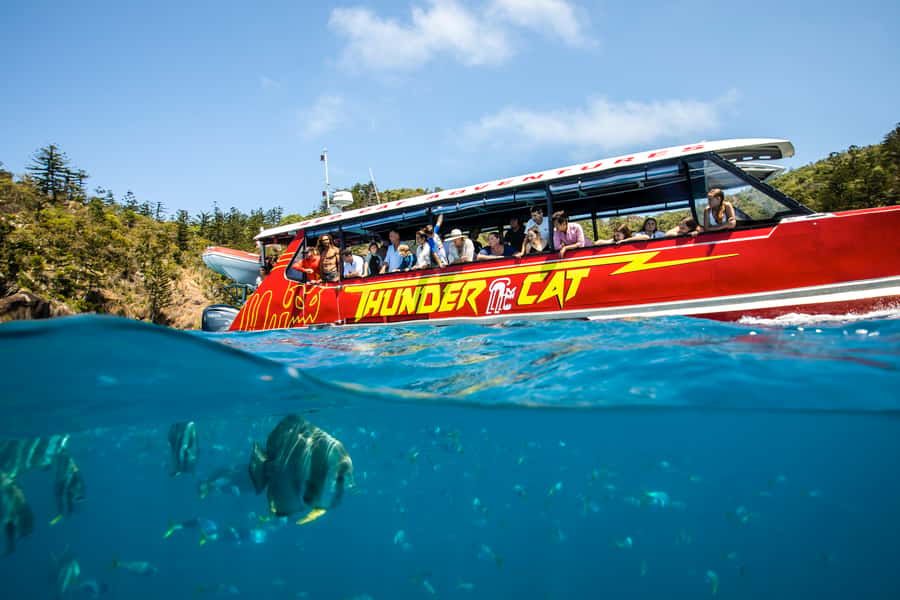 Airlie Beach: Whitehaven Full-Day Eco-Cruise with Buffet - My verdict on the $162 price