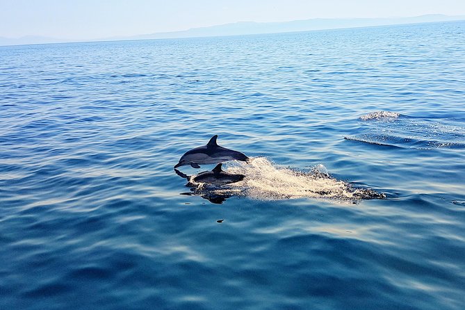 All-Inclusive Full-Day Cruise & Lunch - Skopelos by yacht, not just by ferry