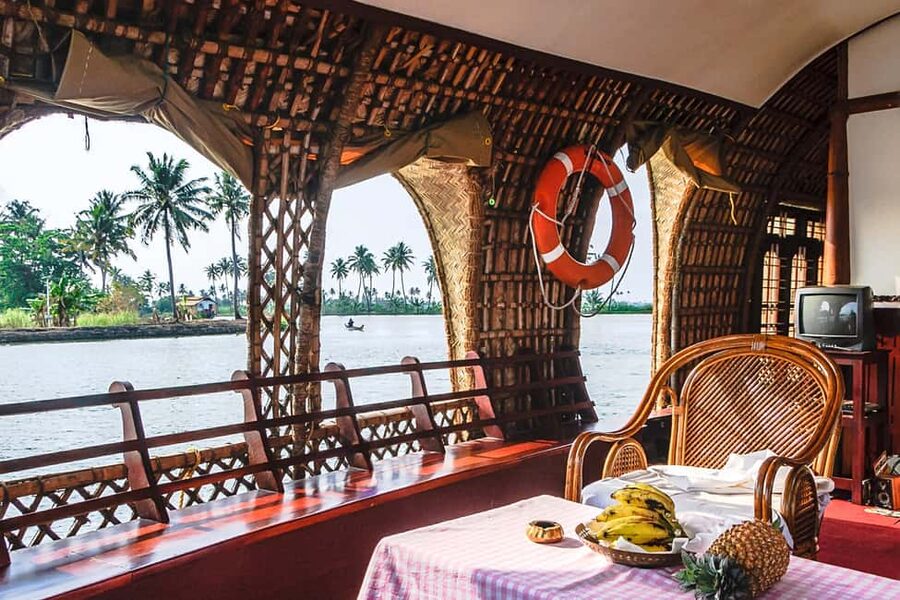 Alleppey / Alappuzha Houseboat Day Cruise with Lunch: Cochin - What you see along the backwaters