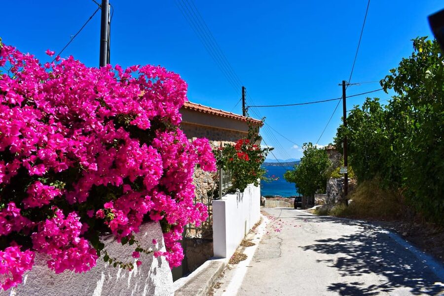 Athens: Agistri, Metopi & Aegina Cruise with Meals & Drinks - Agistri: one hour of island time