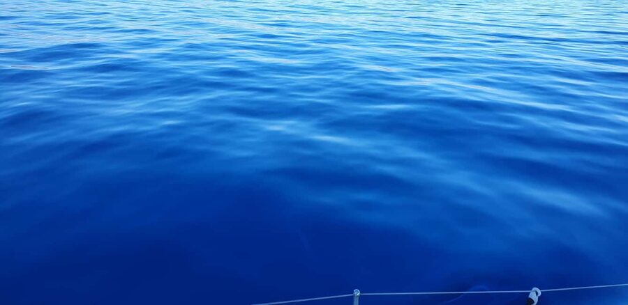 Athens Riviera Private Catamaran Cruise with Meal and Drinks - Should you book it?