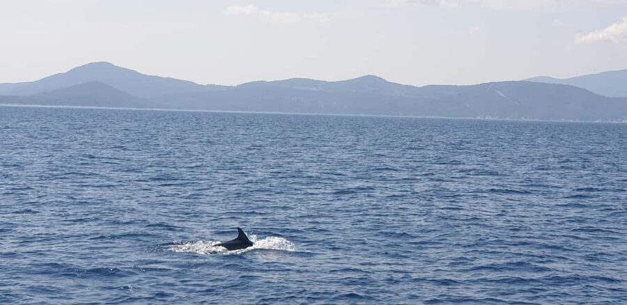 Athens Riviera Private Catamaran Cruise with Meal and Drinks - Vouliagmeni: your first swim and snorkel stop