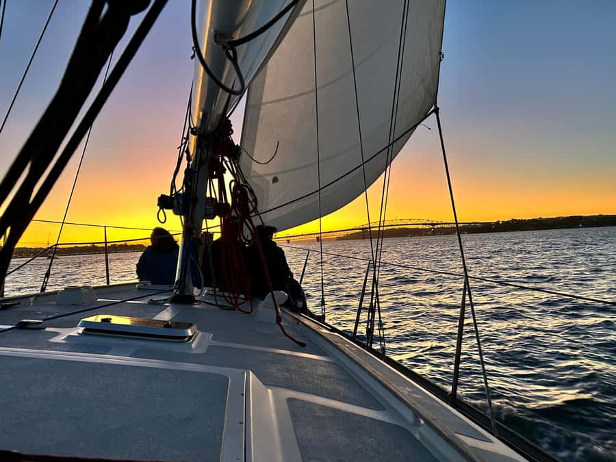 Auckland: Harbour Sailing Cruise with 3-Course Dinner - Key points to know before you book
