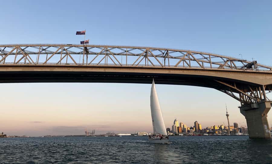 Auckland: Harbour Sailing Cruise with 3-Course Dinner - Eating dinner on a moving yacht