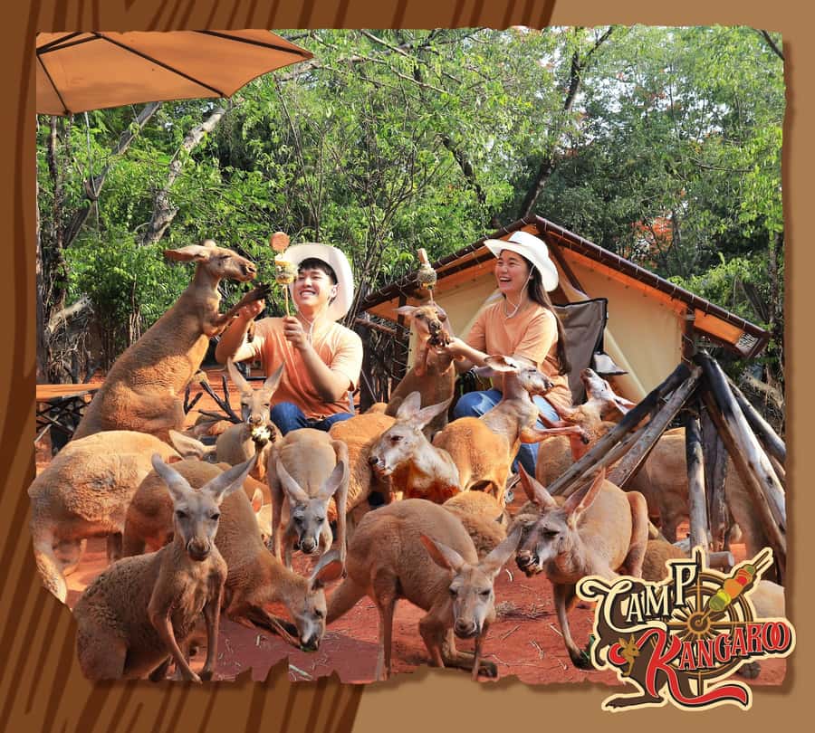 Bangkok: Private Family Tour to Safari & River Dinner Cruise - Safari Park: animals from the vehicle