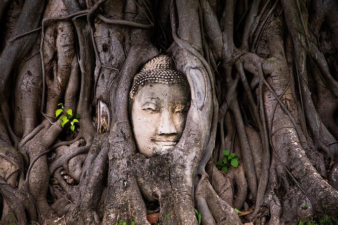 Bangkok to Ayutthaya Historical Park Tour with Lunch Cruise - Key points to know before booking