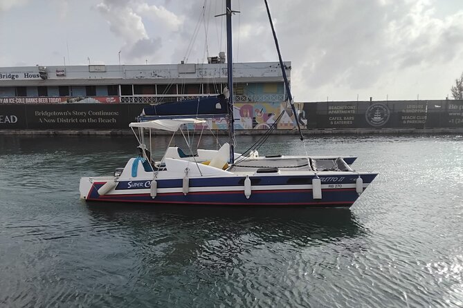 Barbados Catamaran Snorkel Cruise with Lunch and Open Bar - Who will get the most from this cruise