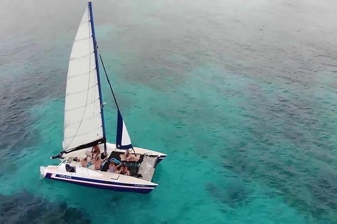 Barbados Catamaran Snorkel Cruise with Lunch and Open Bar - Carlisle Bay: turtles, wrecks, and changing conditions