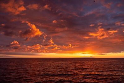 Big Island Historical Dinner Cruise to Kealakekua Bay