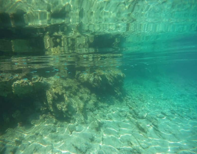 Bodrum: Karaada Boat Cruise with Lunch - What This Bodrum Boat Day Is Really Like