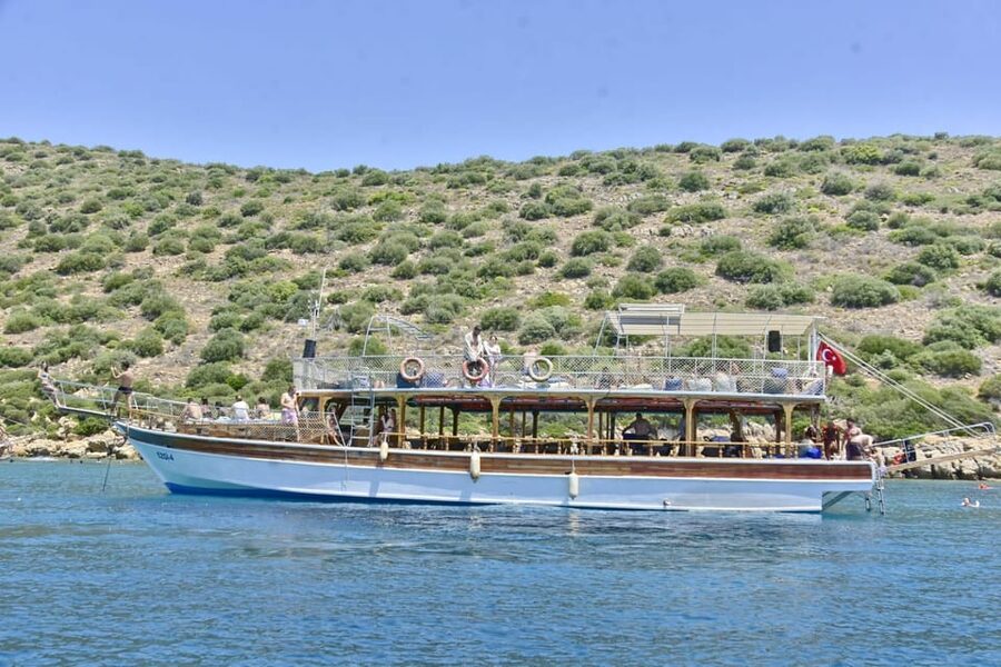 Bodrum Orak Island Boat Cruise with Lunch and Swimming - Who should book this cruise?
