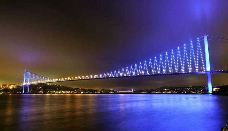 Bosphorus Dinner Cruise & Turkish Night with Live Shows - Is $29 good value?