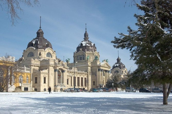 Budapest Széchenyi Spa with Danube Cruise and Optional Dinner - Optional dinner: worth adding or not?