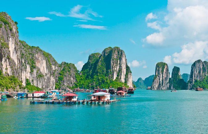 Buffet on Paradise Delight Dining Cruise Halong Bay Tour - Key points to know before boarding