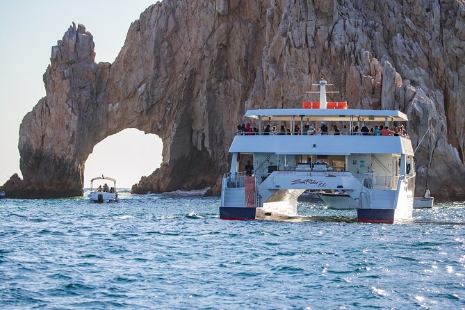 Cabo San Lucas Whale Watching Lunch Cruise - What the crew adds to the day