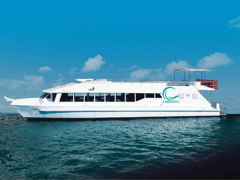 Cabo: Sunset Cruise with Dinner, Music & Open Bar - Open bar, Latin music, and a real party mood