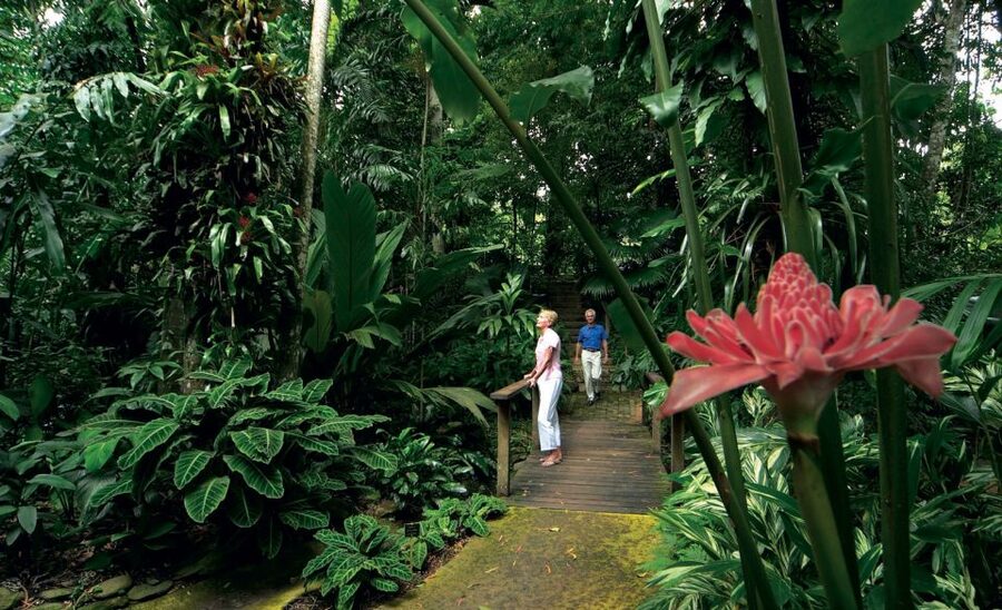 Cairns: City Sights Tour with Evening Dinner Cruise - Who will enjoy this day most?