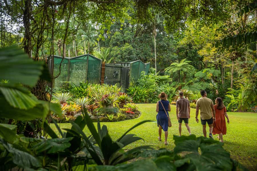 Cairns: City Sights Tour with Evening Dinner Cruise - A full afternoon of Cairns, not just a quick city loop