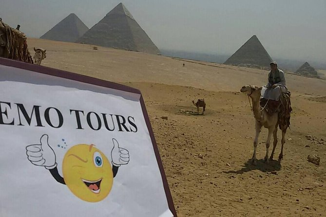 Cairo Airport Transit Tours Visit Giza Pyramids Egyptian Museum Bazaar & Nile Dinner Cruise - Guides, Driving, and the Private Setup