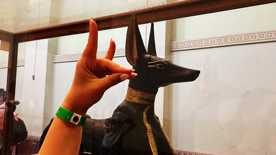 Cairo: Giza Pyramids, Egyptian Museum & Nile Dinner Cruise. - A Nile dinner with music and dancing