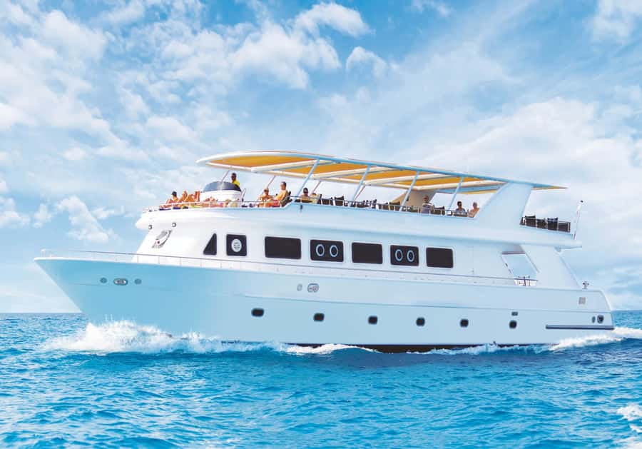 Cairo: Luxury Snorkeling Cruise & lunch with optional pickup - Finding the boat at Dome Marina