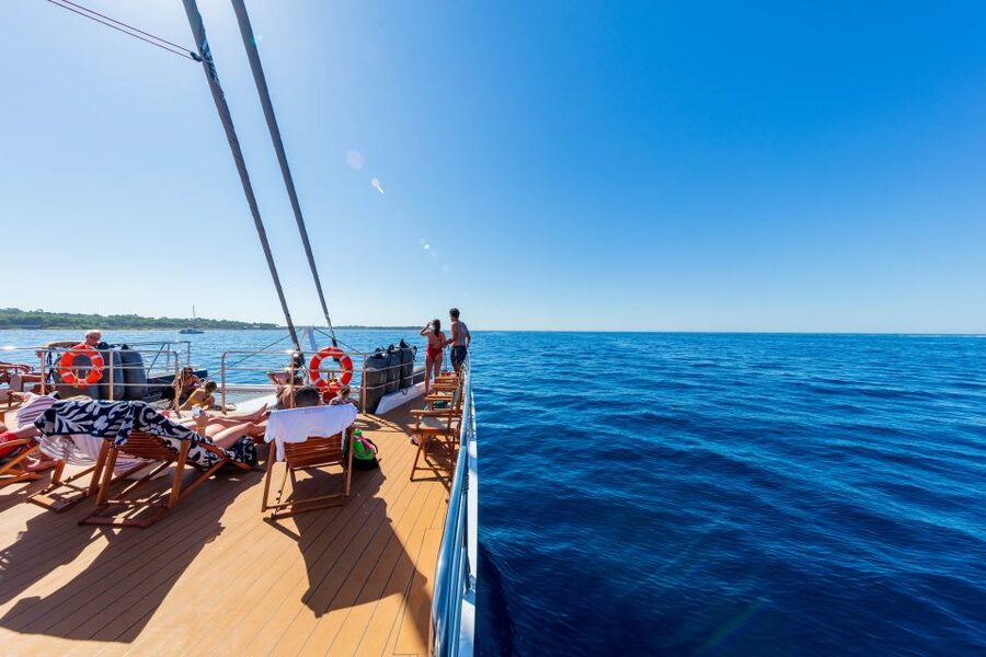 Cannes: Half-Day Catamaran Cruise with Lunch - Swimming and snorkeling between the islands