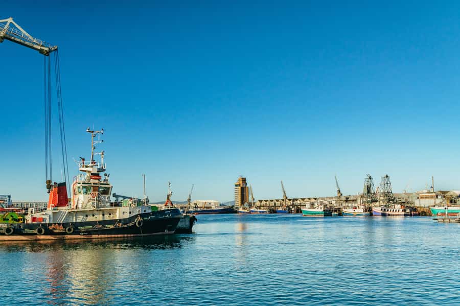 Cape Town: Sunset Champagne Cruise and 3-Course Dinner - Who will enjoy this evening most