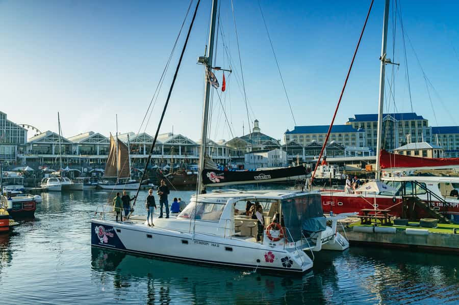 Cape Town: Sunset Champagne Cruise and 3-Course Dinner - Practical ways to improve the experience