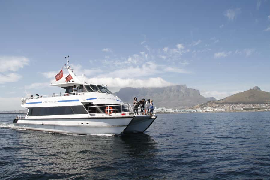 Cape Town: Sunset Champagne Cruise and 3-Course Dinner - Should you book it?