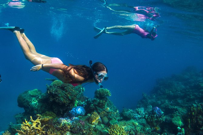 Capt Cook Cruises Super Saver Combo: Day Sail + Dinner Cruise - Setting sail from Port Denarau to Tivua