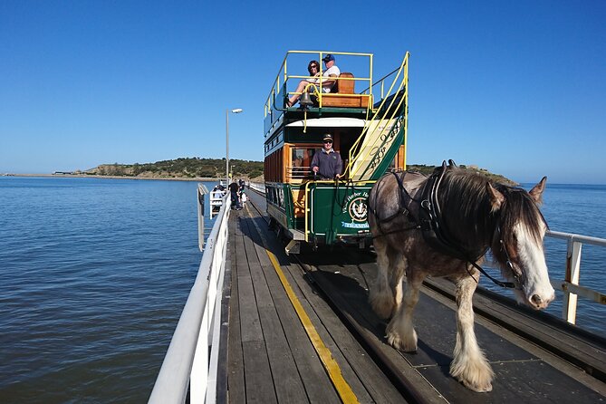 Coorong 3 & 1/2 Lunch Cruise and Tour - Boarding at Goolwa Wharf