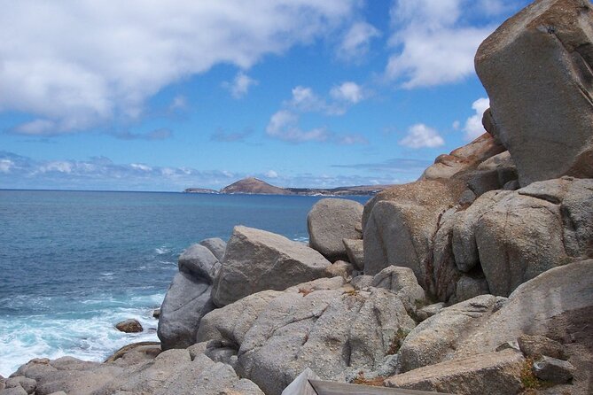 Coorong 3 & 1/2 Lunch Cruise and Tour - Birdlife, marine life, and what to bring