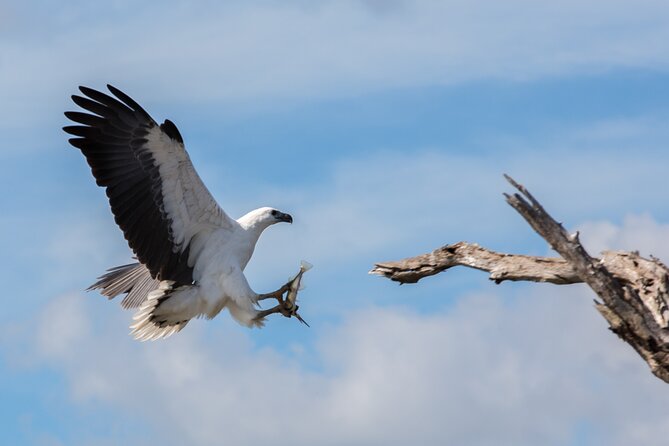 Corroboree Billabong 2.5 hour Lunch Cruise - Is $82.48 good value?