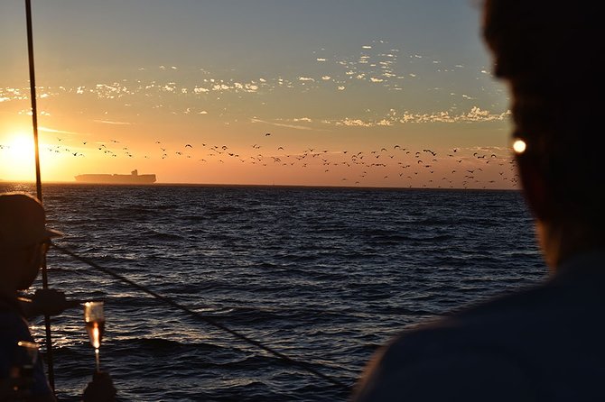 Cruise and Dine Dinner / Cape Town: Sunset Champagne Cruise and 3-Course Dinner - Cape Town from the water at sunset