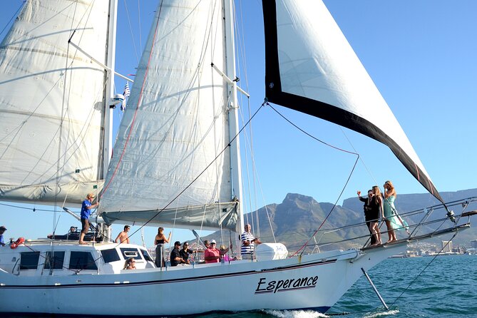 Cruise and Dine Dinner / Cape Town: Sunset Champagne Cruise and 3-Course Dinner - Should you book the sunset cruise and dinner?