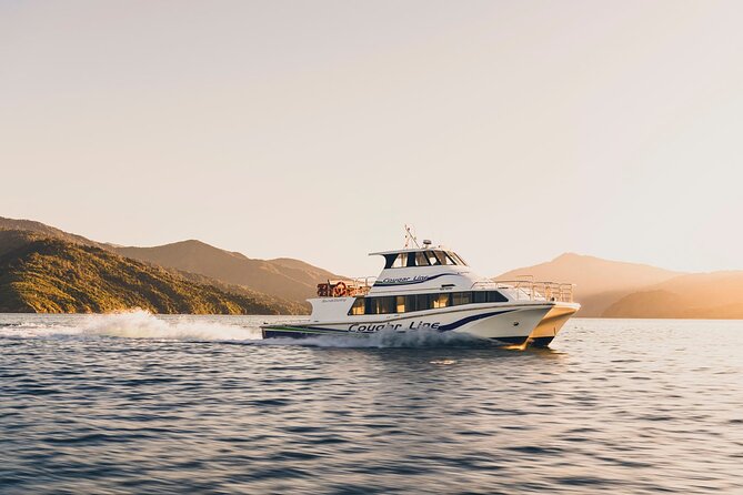 Cruise and Lunch at Furneaux Lodge - Arriving at Furneaux Lodge in Endeavour Inlet