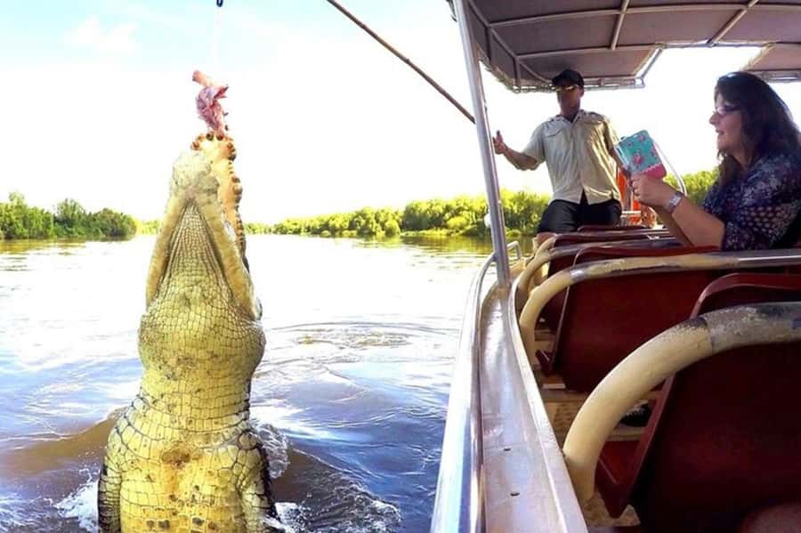 Darwin: Jumping Crocodile Adventure Cruise with Lunch - The drive from Darwin with a guide who keeps it local