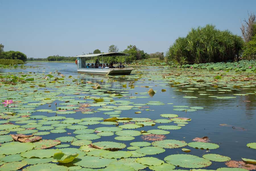Darwin: Mary River Wetlands Wildlife Cruise with Lunch - Key points to know before you book